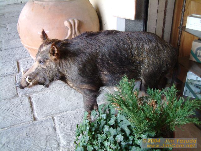 dscf0148.jpg